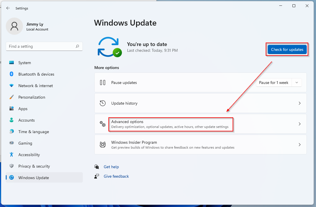 Windows Update Advanced options screen