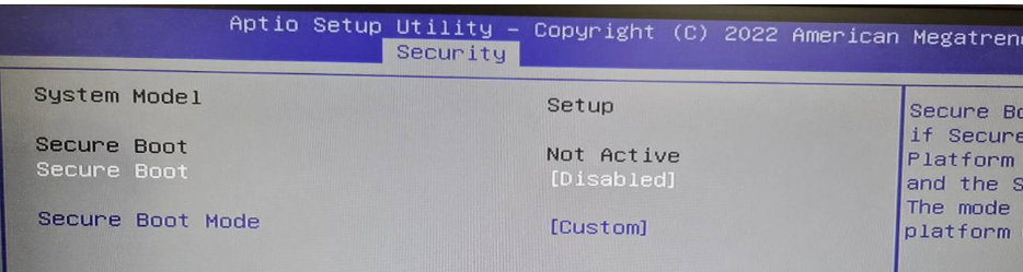 Kurulum Modu için yapılandırılmış BIOS Güvenli Önyükleme ayarları