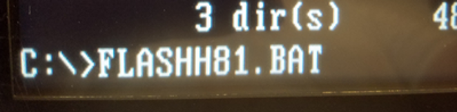 在FreeDOS中执行FLASHH81.BAT
